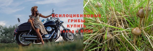 скорость Баксан