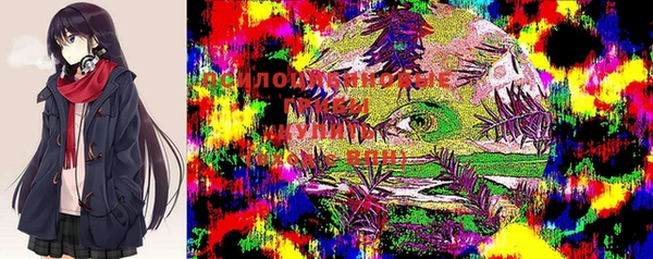 скорость Баксан