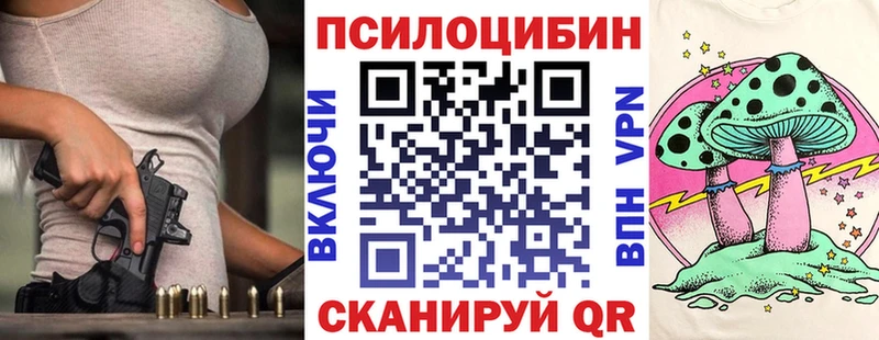 Псилоцибиновые грибы Cubensis  Вольск 