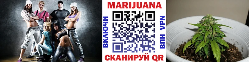 Канабис OG Kush  Вольск 